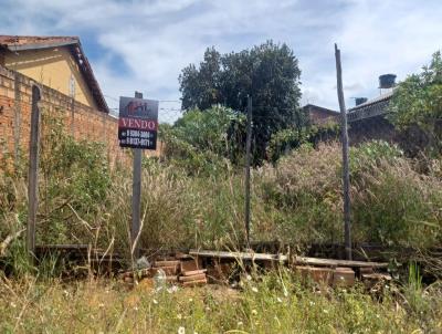 Lote para Venda, em Aparecida de Goinia, bairro Independncia