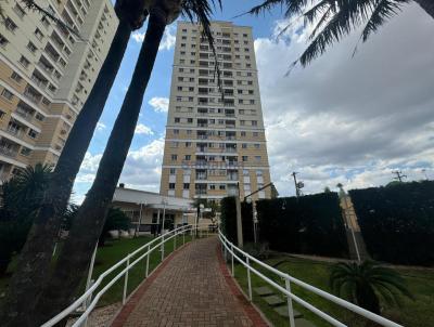 Apartamento para Venda, em Campo Grande, bairro So Francisco, 3 dormitrios, 1 sute, 1 vaga