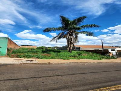 Terreno para Venda, em Apucarana, bairro Ncleo Habitacional Papa Joo Paulo I