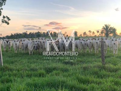 Fazenda para Venda, em Monte do Carmo, bairro rea Rural