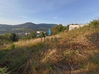 Terreno para Venda, em Concrdia, bairro So Cristvo