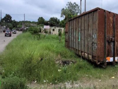 Terreno para Venda, em Itanham, bairro Nossa Senhora Do Sion