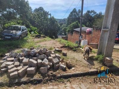 Terreno para Venda, em Quatro Barras, bairro ***Borda do Campo***