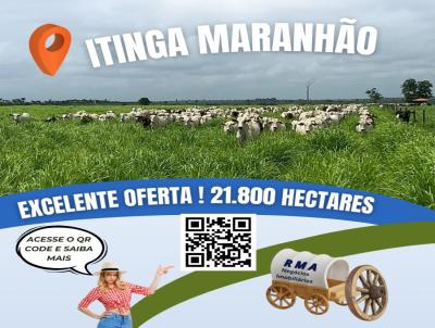 Fazenda para Venda, em Itinga do Maranho, bairro rea Rural