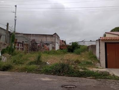 Terreno para Venda, em Santana do Livramento, bairro Centro