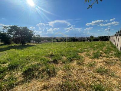 Terreno para Venda, em Botucatu, bairro Jardim Itlia