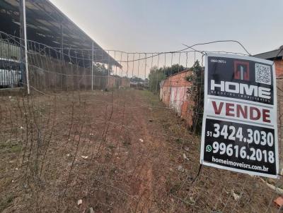 Comercial para Venda, em Gravata, bairro Cohab A