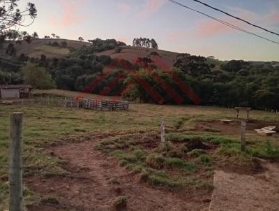 Stio para Venda, em Bueno Brando, bairro Centro