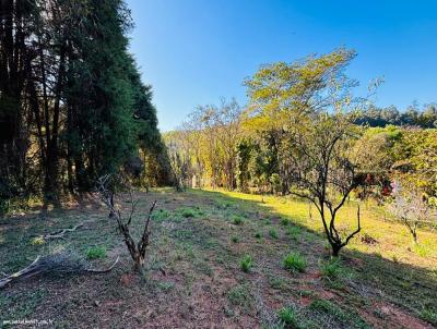 Terreno para Venda, em Jarinu, bairro Maracan