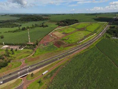 Terreno para Venda, em Brodowski, bairro Centro