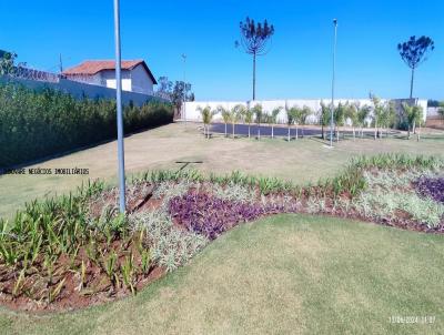 Terreno para Venda, em Araguari, bairro Ftima