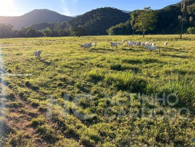 Fazenda para Venda, em Silva Jardim, bairro 