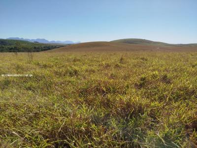 Fazenda para Venda, em Campos dos Goytacazes, bairro 