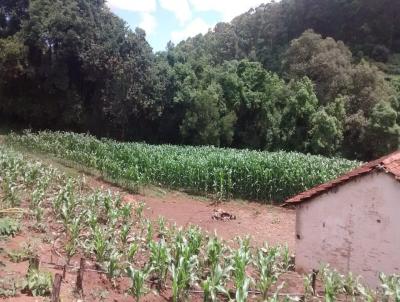 Terreno para Venda, em Bragana Paulista, bairro Corgo Raso