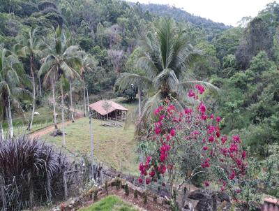 Fazenda para Venda, em Ubara, bairro Abrantes