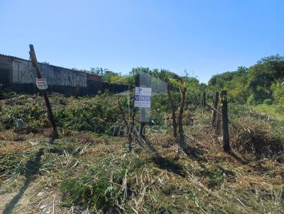 Terreno para Venda, em So Sebastio, bairro Enseada