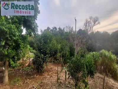 Chcara para Venda, em So Francisco de Paula, bairro BOA VISTA