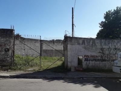 Terreno para Venda, em So Paulo, bairro Jardim Maria Ldia, 2 dormitrios, 1 banheiro