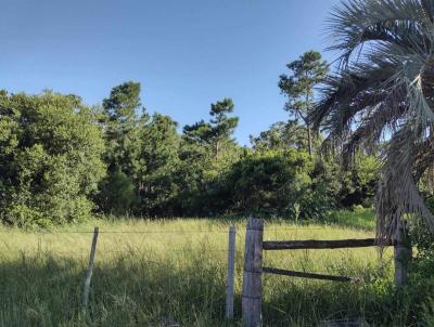 rea para Venda, em Capivari do Sul, bairro rea Rural