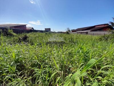 Terreno para Venda, em Itanham, bairro Jardim Bopiranga