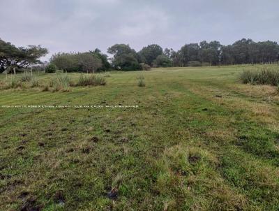 Fazenda para Venda, em So Jos do Norte, bairro RS