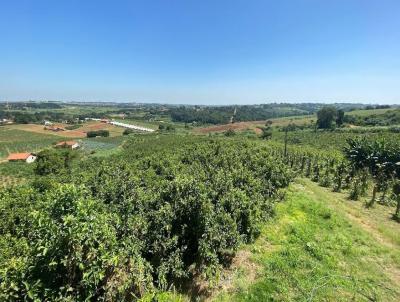 Stio para Venda, em Valinhos, bairro Reforma Agrria, 3 dormitrios, 5 banheiros, 3 sutes