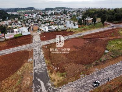 Terreno para Venda, em Erechim, bairro Florais Itlia