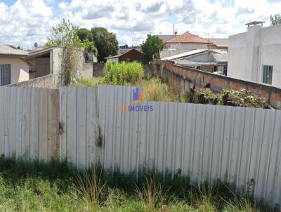 Terreno para Venda, em Pinhais, bairro Maria Antonieta