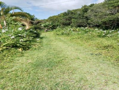 Terreno para Venda, em Itanham, bairro Jardim Maramb 2