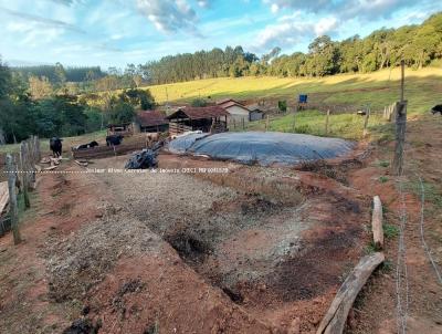 Stio para Venda, em Muzambinho, bairro 1,5 Km da rodovia, 4 dormitrios, 2 banheiros