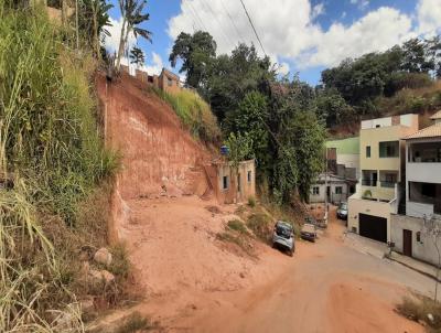 Lote para Venda, em Ribeiro das Neves, bairro Viena