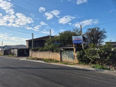 Terreno para Venda, em Quatro Barras, bairro Menino Deus