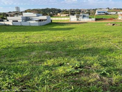 Terreno para Venda, em Espumoso, bairro Tarum