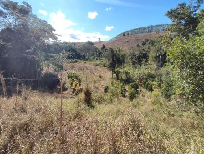 Stio para Venda, em Belo Oriente, bairro Braninha, 3 dormitrios, 1 banheiro