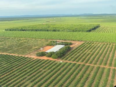 Fazenda para Venda, em Manga, bairro ZONA RURAL