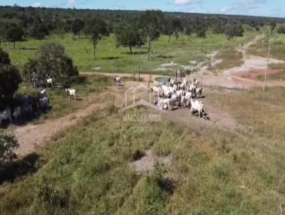 Fazenda para Venda, em Montes Claros, bairro ZONA RURAL