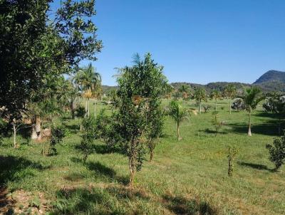 Terreno para Venda, em Guapimirim, bairro Cotia