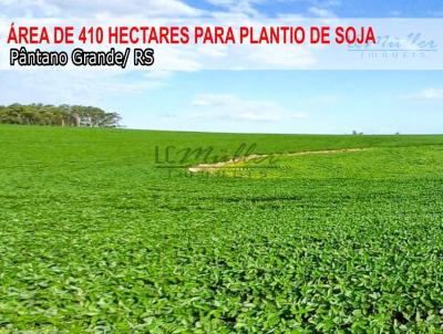 Fazenda para Venda, em Pntano Grande, bairro Interior