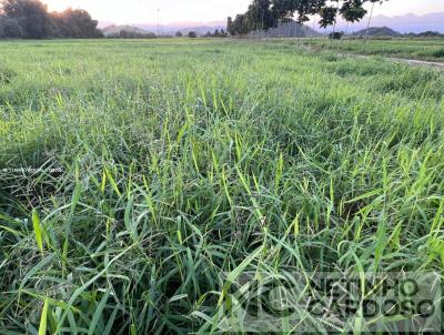 Fazenda para Venda, em Cachoeiras de Macacu, bairro Papucaia