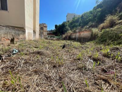 Terreno para Venda, em Tefilo Otoni, bairro Centro