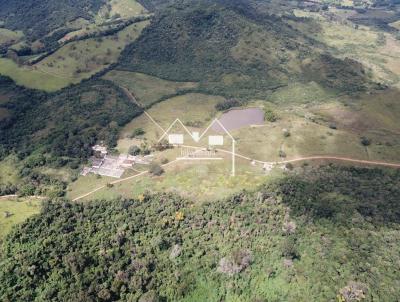 Fazenda para Venda, em So Francisco de Paula, bairro Zona Rural