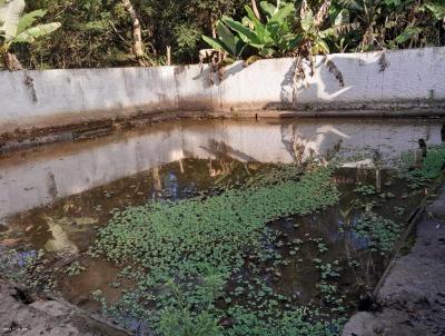 Chcara para Venda, em Suzano, bairro Chcara So Judas Tadeu, 3 dormitrios, 3 banheiros, 1 sute