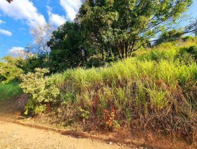 Terreno para Venda, em Cataguases, bairro Popular