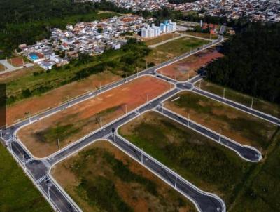 Terreno para Venda, em So Jos, bairro Forquilhinha