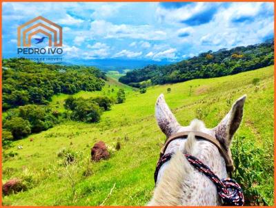 Fazenda para Venda, em Juiz de Fora, bairro Valadares