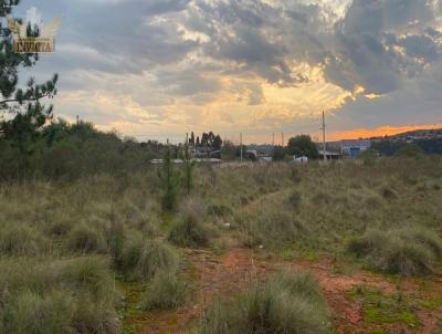 Terreno para Venda, em Santana do Livramento, bairro Argiles