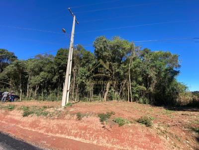 rea para Venda, em Contenda, bairro Santo Antonio