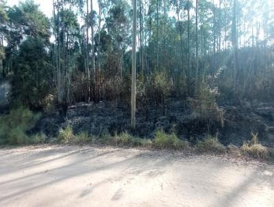 Stio para Venda, em Vitria de Santo Anto, bairro Bela Vista