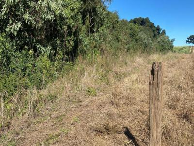 rea para Venda, em Contenda, bairro Lagoa das Almas