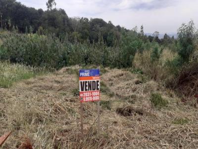 Lote para Venda, em Marechal Cndido Rondon, bairro CENTRO